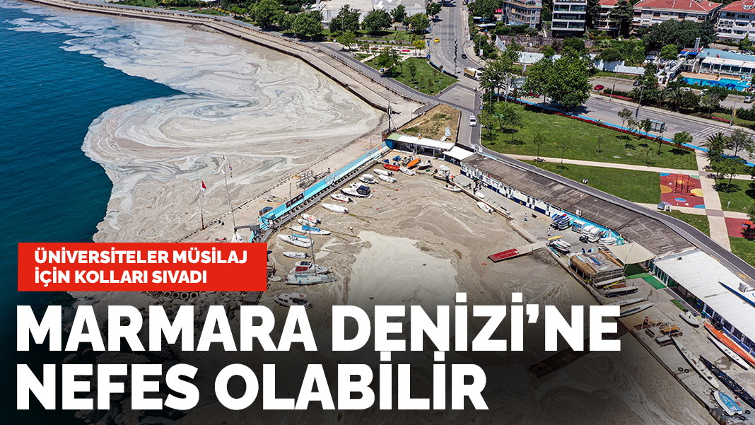 Marmara Denizi'ne nefes aldıracak çalışma: Oksijen seviyesi artırılabilir