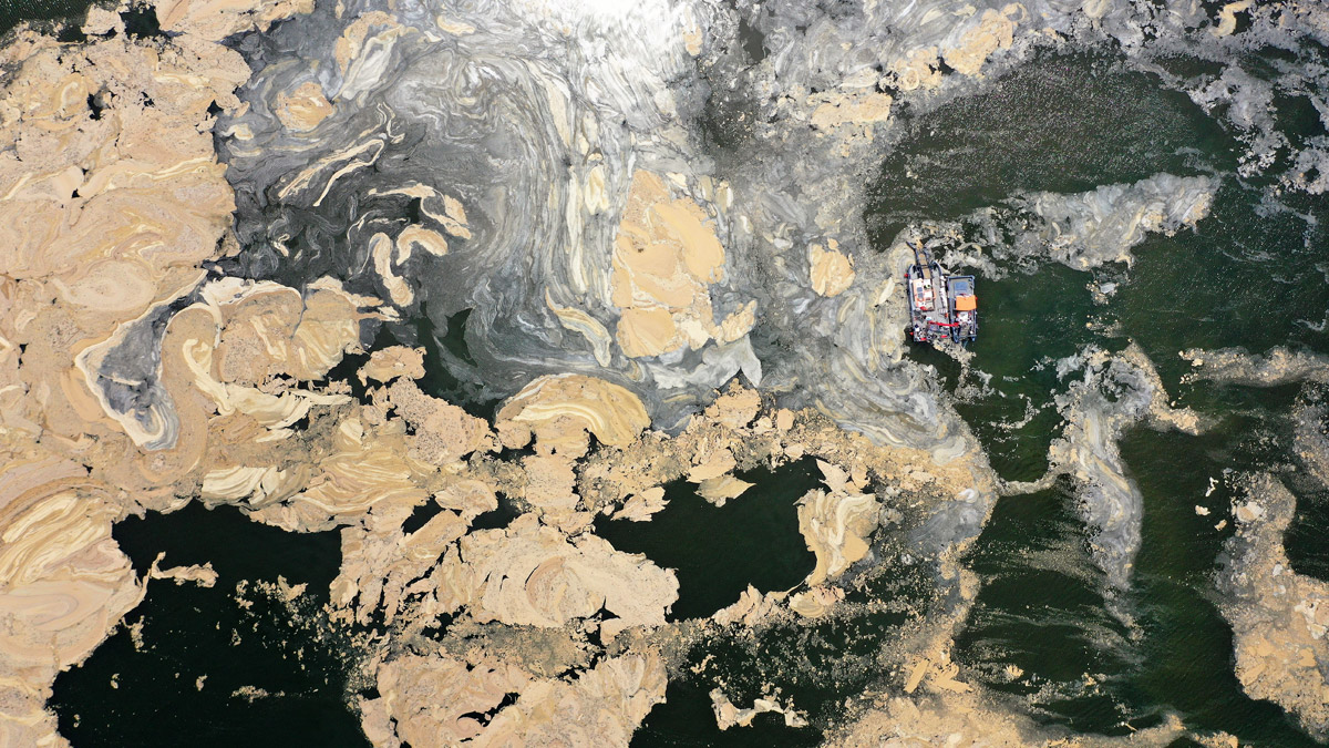 Son dakika! Müsilaja çember: Bakanlık genelge gönderdi