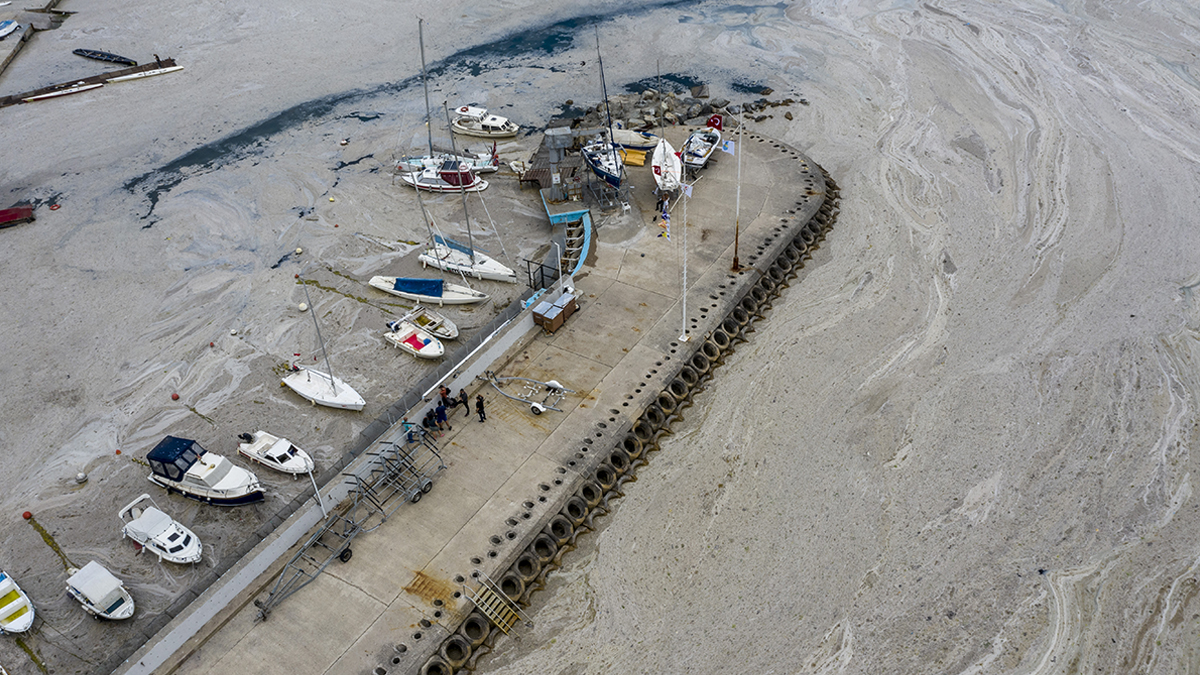 Müsilajın faturasını kim ödeyecek? 10 yıllık ihmal ortaya çıktı