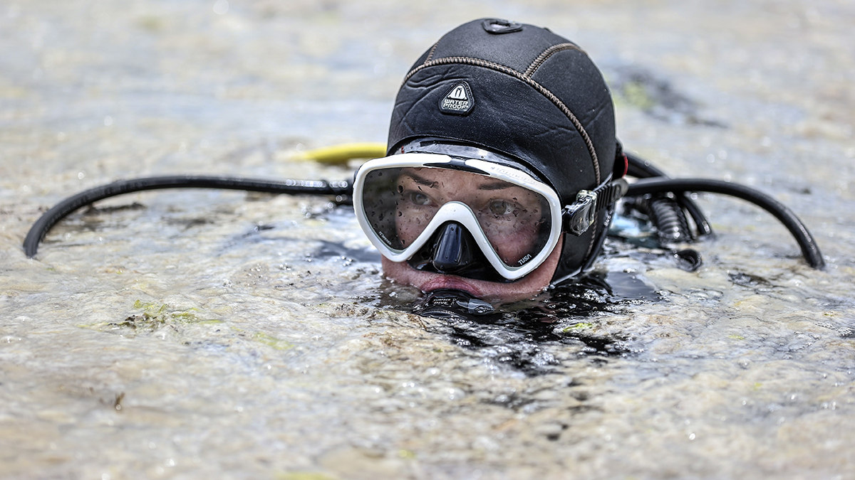 Son dakika! Marmara için yeni adım: Koruma altına alınacak