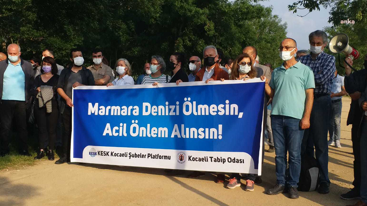 Marmara Denizi'ni istila eden müsilaj hakkında STK'lardan açıklama