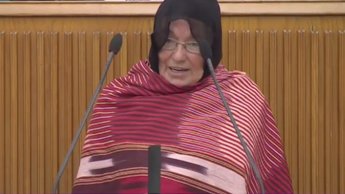 İkizdereli İkizdereli teyzeden mecliste sert sözler: Bu devlet sadece Cengiz Mehmet'in devleti mi?