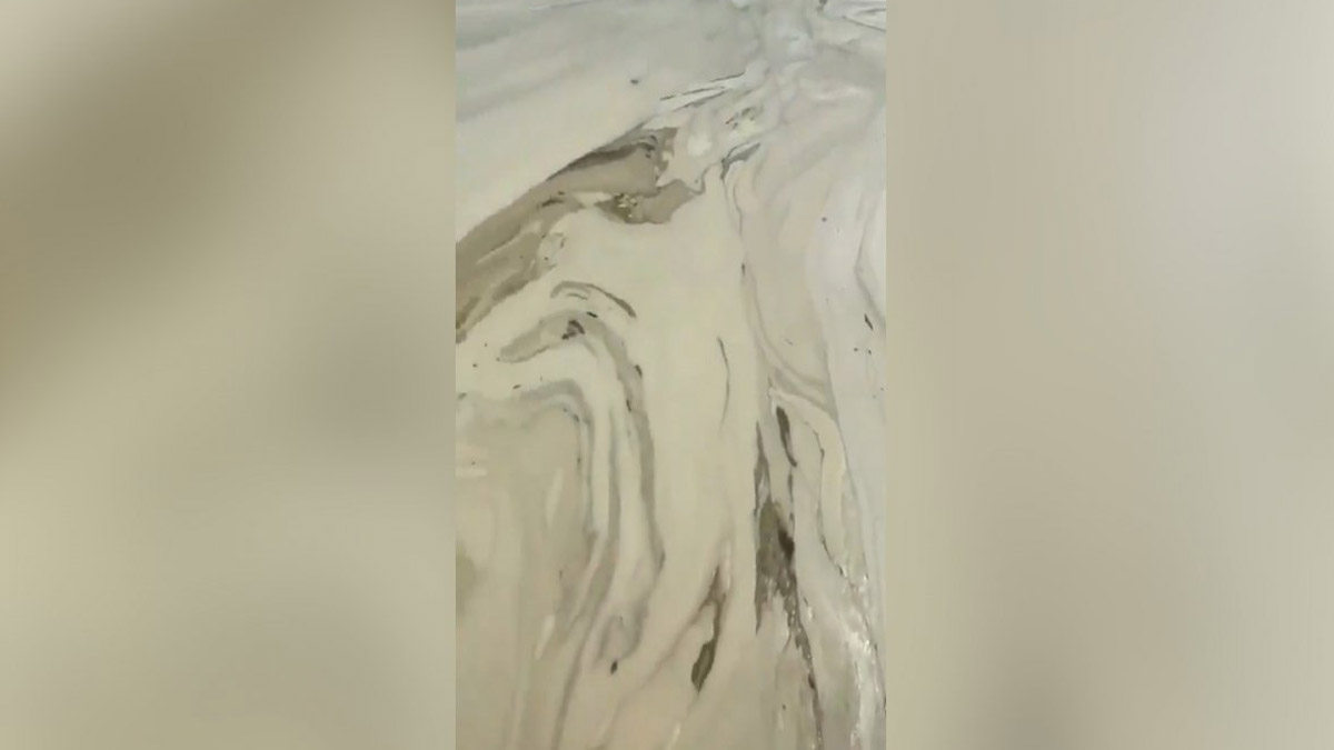 Balıkesir sahilleri müsilaja teslim