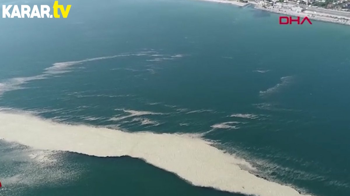 Küçükçekmece açıklarında müsilaj adası