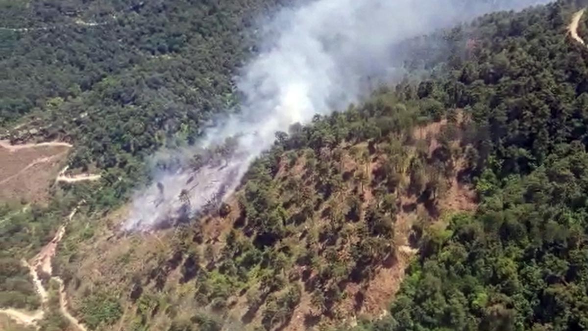 Balikesir Sindirgi Da Yangin 1 Hektar Orman Zarar Gordu