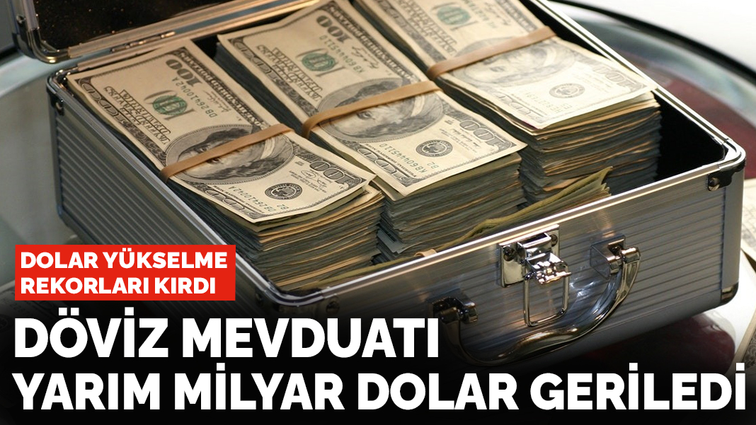 Döviz mevduatı yarım milyar dolar geriledi