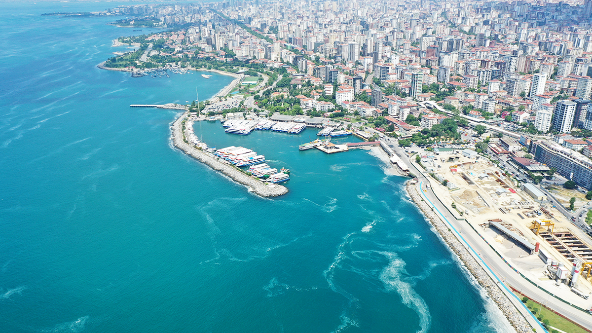 Uzmanlardan dikkat çeken müsilaj uyarısı: Denize girmek yasaklanmalı