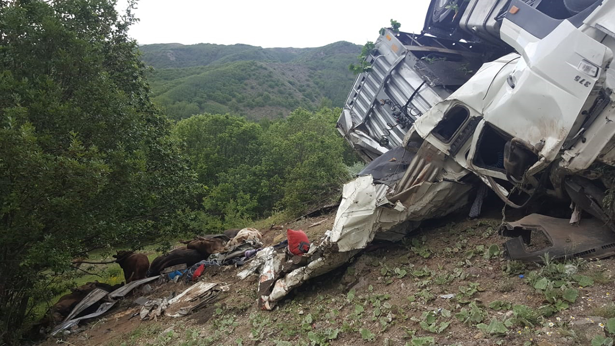 Büyükbaş hayvan taşıyan tır devrildi: 1 ölü