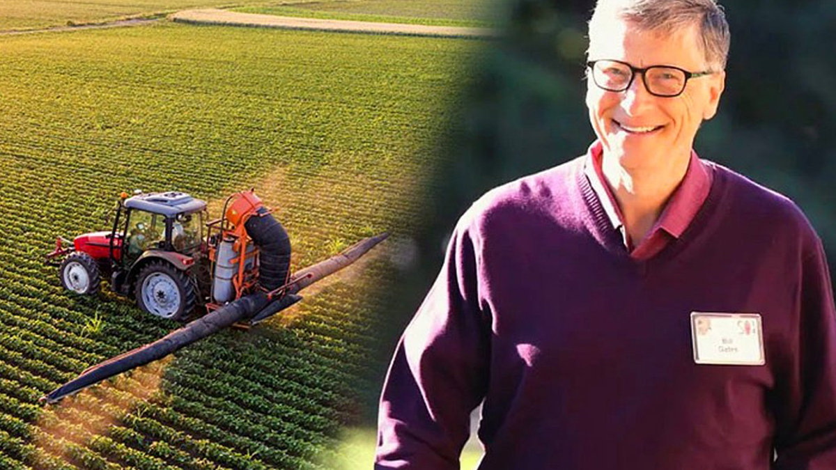 McDonald's patatesleri Bill Gates'ten