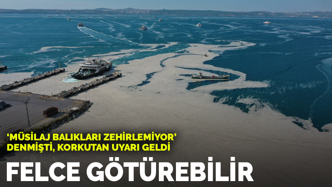 Müsilajda korkunç tehlike: Felce götürebilir...