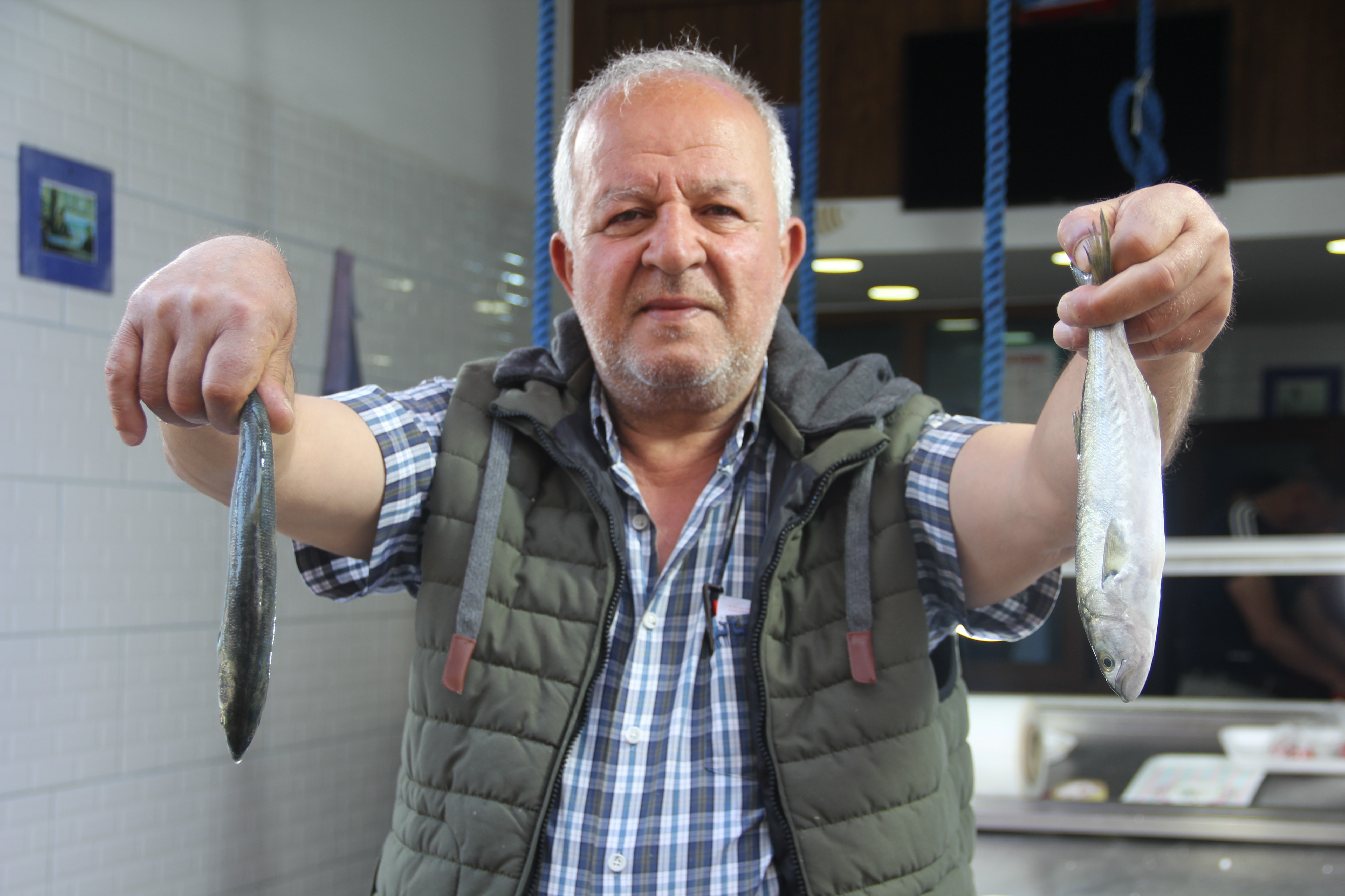 Marmara’da etkili olan müsilaj nedeniyle Çinekop Karadeniz’e erken göç etti