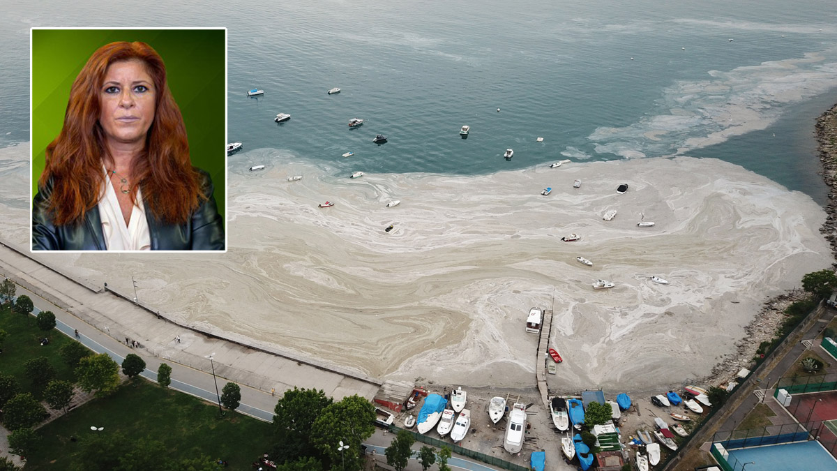 Uzmanlardan 'müsilaj' tepkisi: Önüne geçmedikçe her şey daha da kötüleşecek