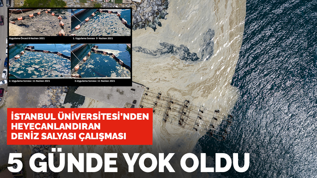 Deniz salyası İstanbul Üniversitesi'nin yöntemiyle temizlenebilir