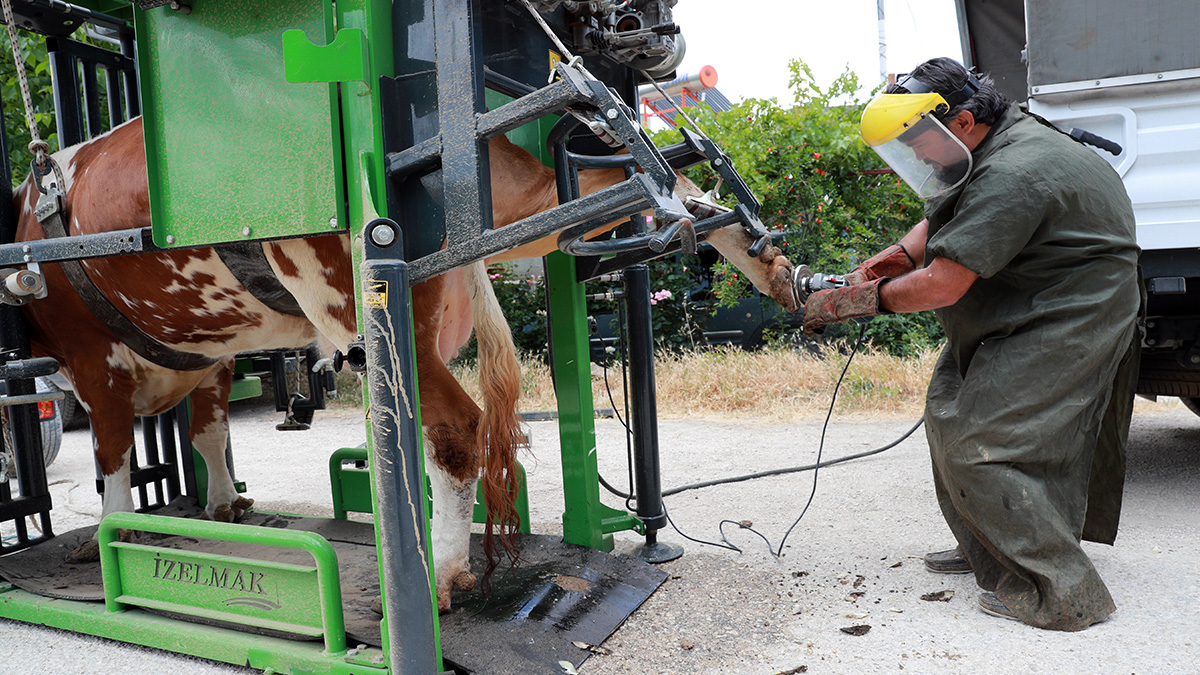 Antalya Büyükşehir Belediyesi'nden besicilere destek