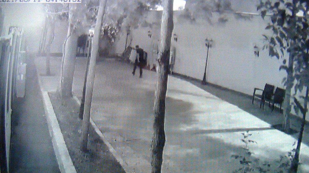 Çalacak bir şey bulamayınca gözünü bıldırcınlara dikti