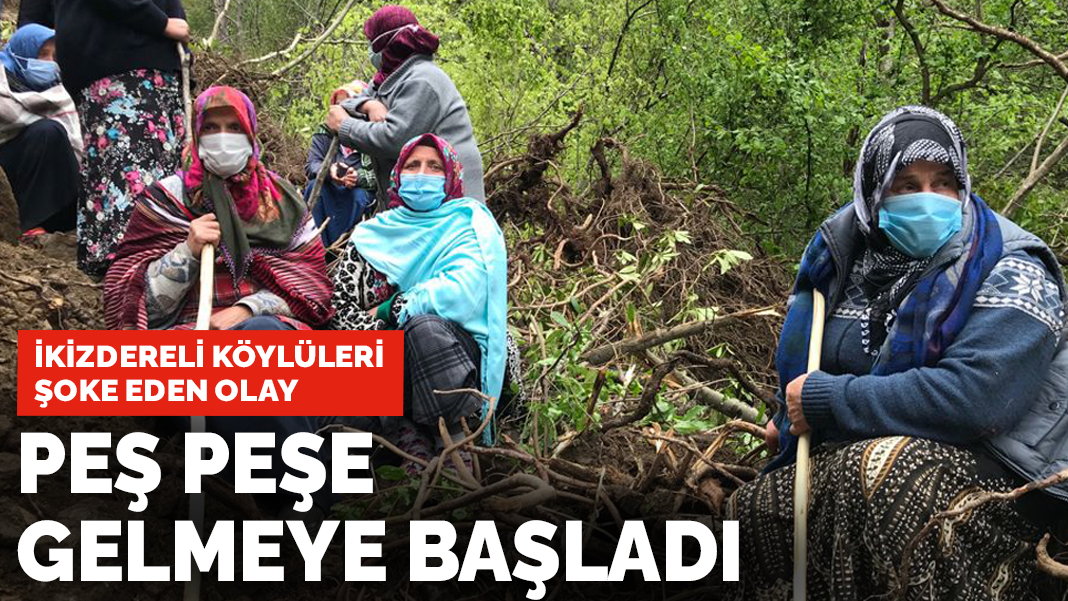 İkizdereli köylüleri şoke eden olay: Peş peşe gelmeye başladı