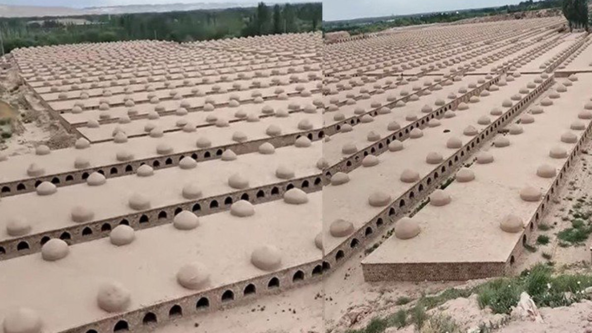 Çin zulmü 'ölülere' uzandı