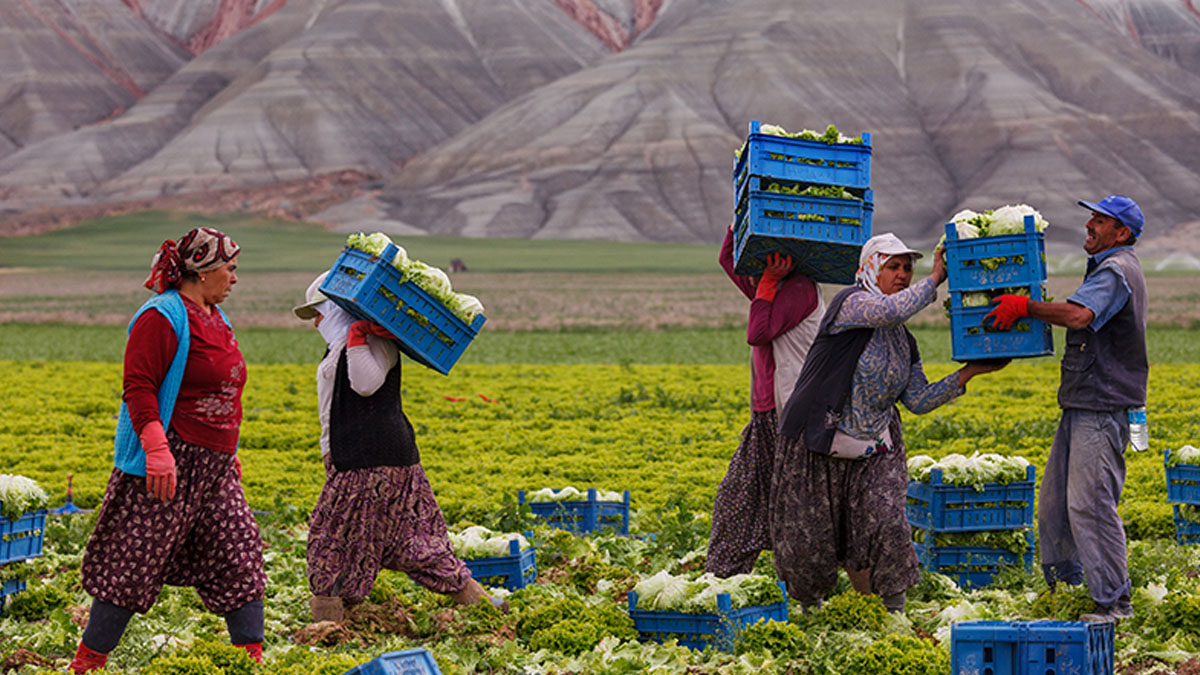 8 milyon kayıt dışı işçi destek de alamadı, aşı da olamadı