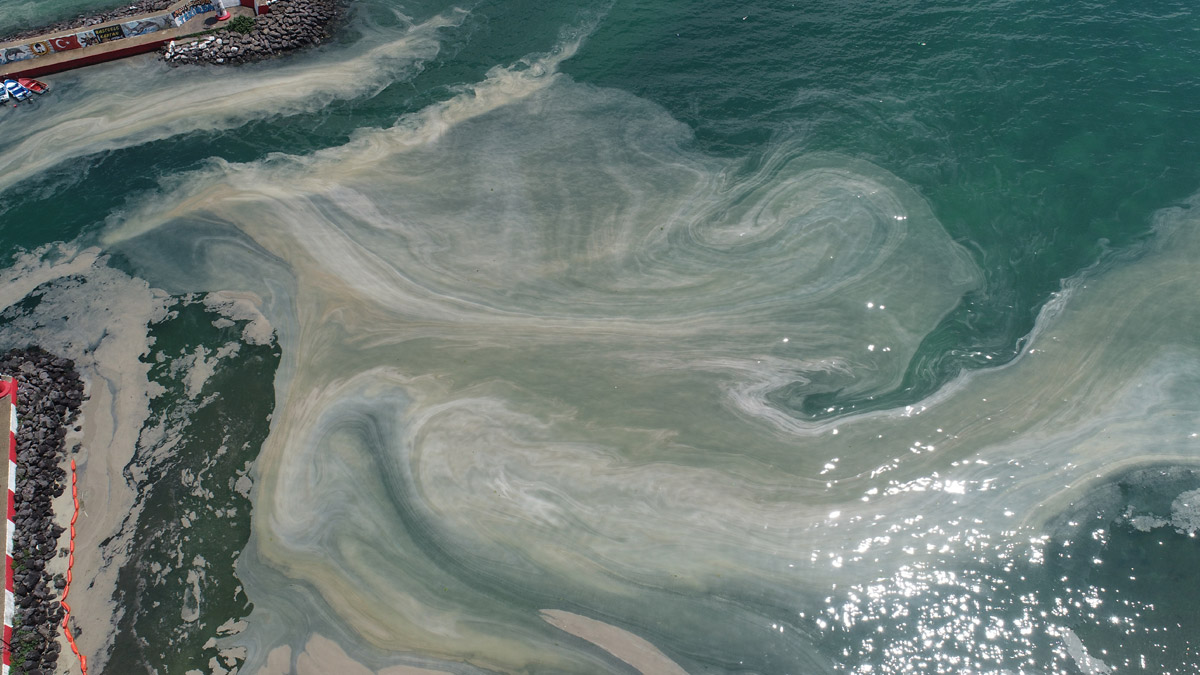 Ergene'nin deşarjı için kritik uyarı: Devam ederse Karadeniz ve Ege Denizi'ni de kaybederiz
