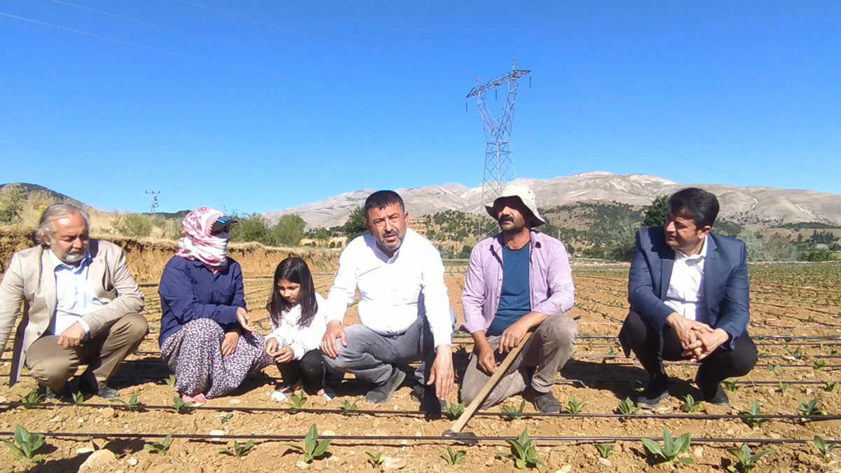 CHP heyeti tütün üreticilerini ziyaret etti