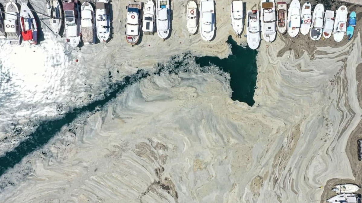 Bakan Kurum, temizlenen müsilaj miktarını duyurdu