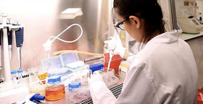 Bilim insanları Türkiye'de sıtmayı tartışacak