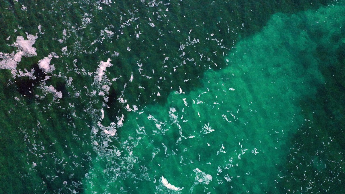 Gökçeada'da müsilaj paniği