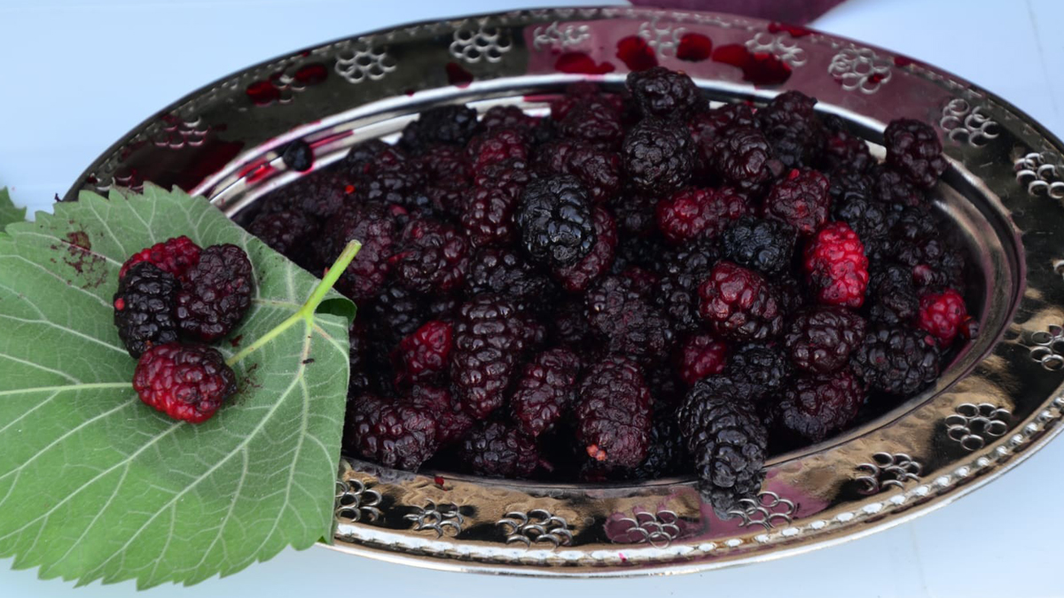 Kanserli hücreleri vücuttan uzaklaştırıyor! Kilo yerine gramla satılıyor