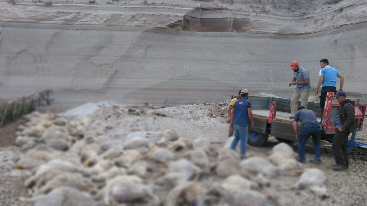 Heyelan sonucu 58 koyun toprak altında kaldı