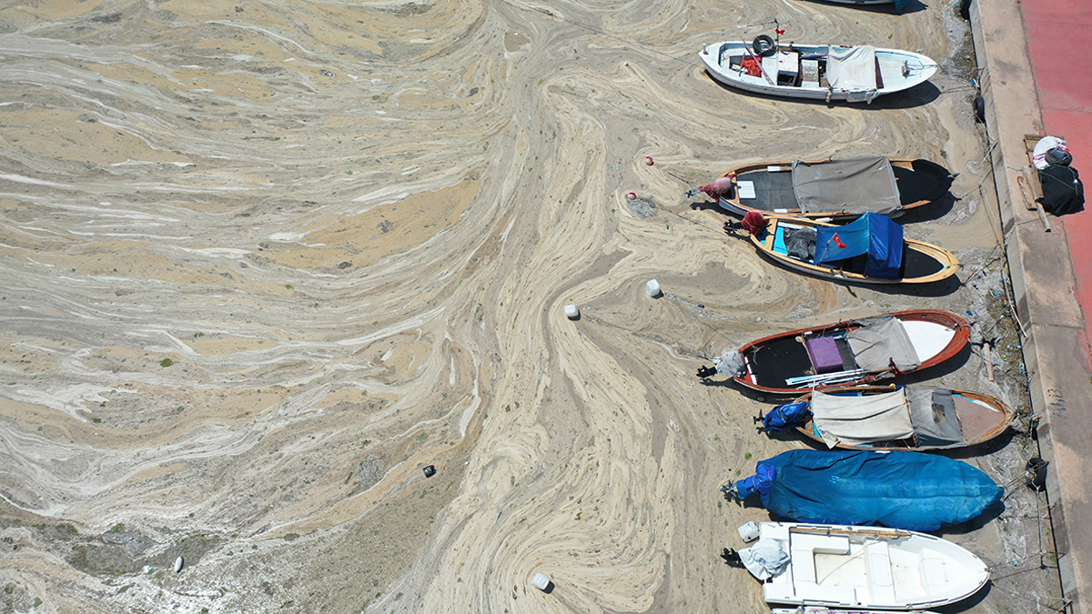 Son dakika! Bakan Kurum detayları paylaştı: 16 işletmeye 'müsilaj' cezası