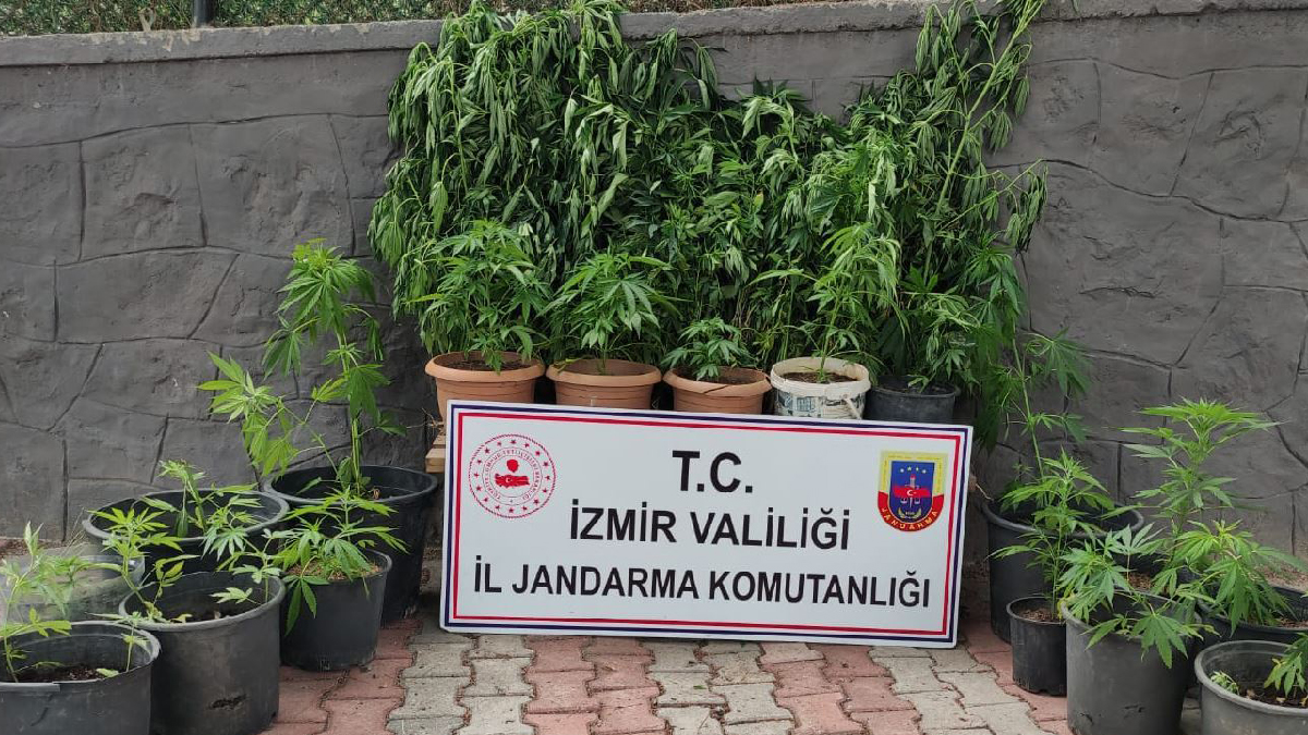 İzmir'in 9 ilçesinde uyuşturucu operasyonu: 11 kişi gözaltında