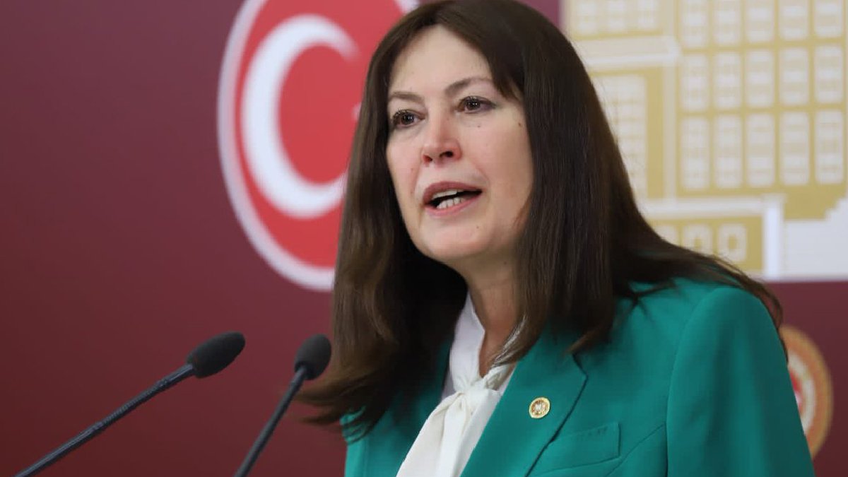 İYİ Parti Kadına Yönelik Şiddet Komisyonu'ndan çekildi