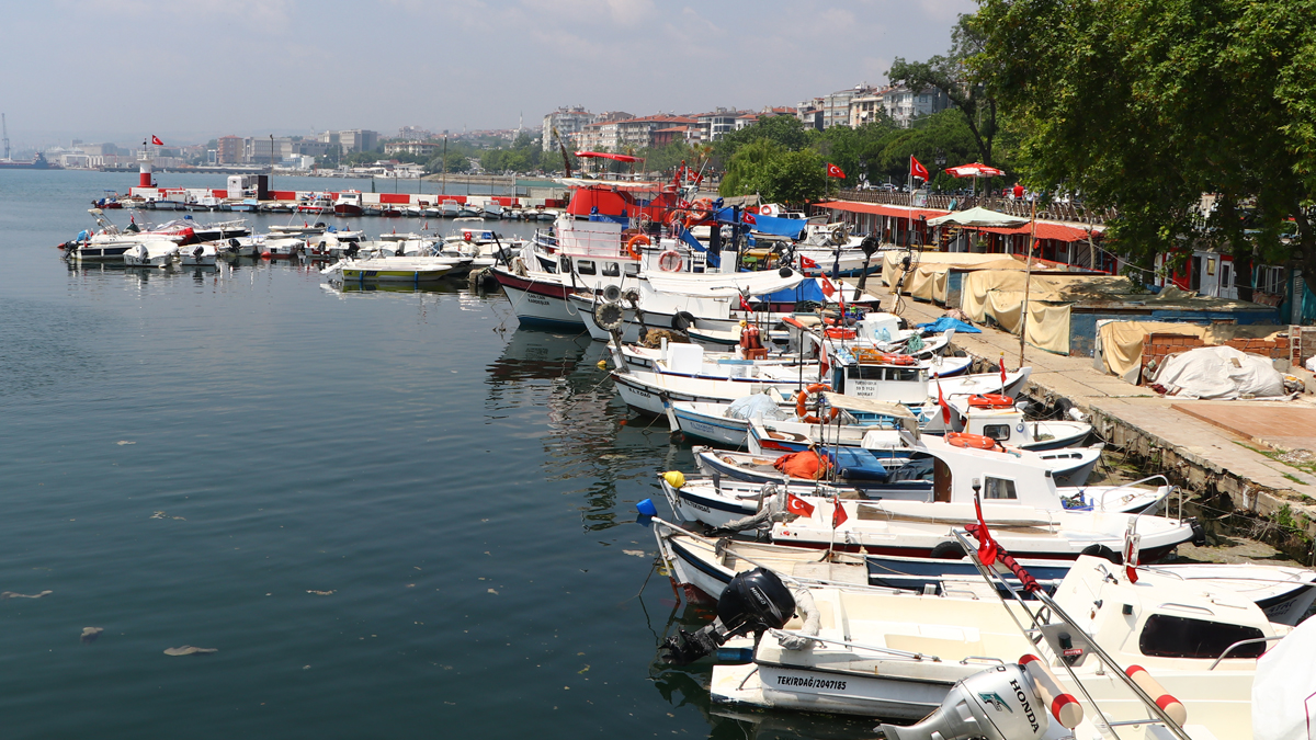 Balıkçılar deniz salyası nedeniyle açılamıyor