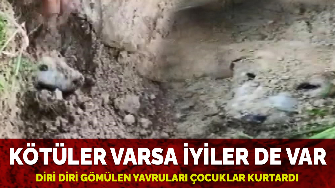 Kötüler varsa iyiler de var! Diri diri gömülen yavruları çocuklar kurtardı