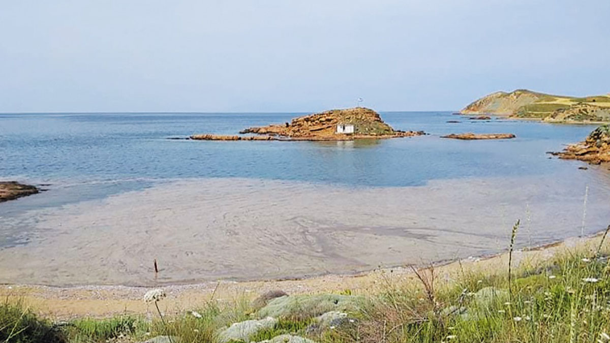 Müsilaj Yunanistan'a sıçradı