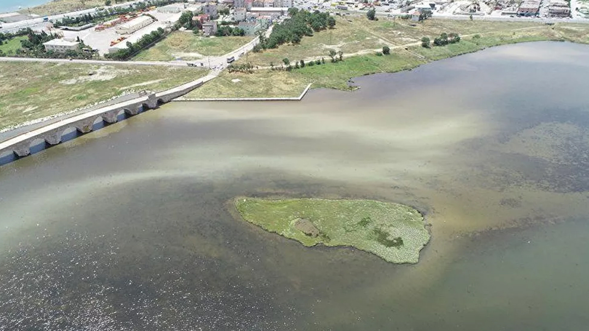 Büyükçekmece Gölü'nün rengi değişti