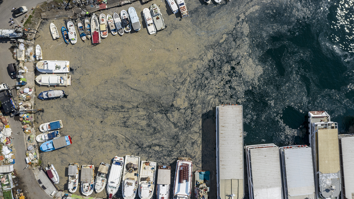 Müsilaj için yeni adım: Bilim ve Teknik Kurulu toplanıyor