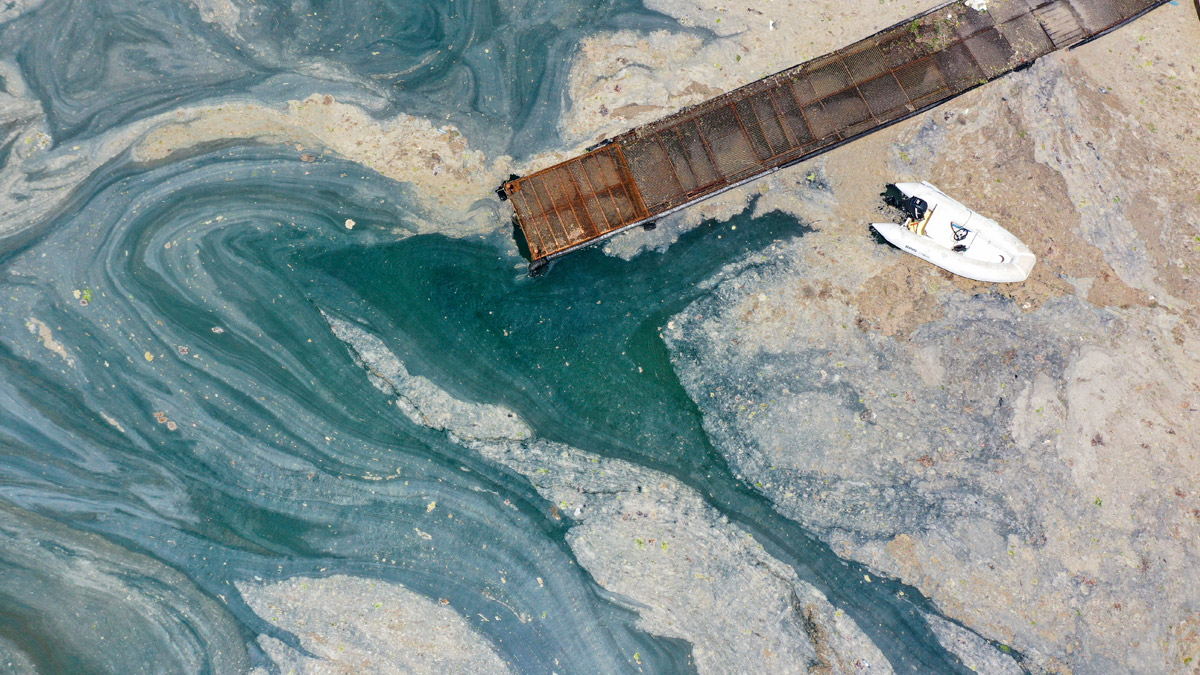 Müsilajda Marmara için iyi, Ege için kötü haber