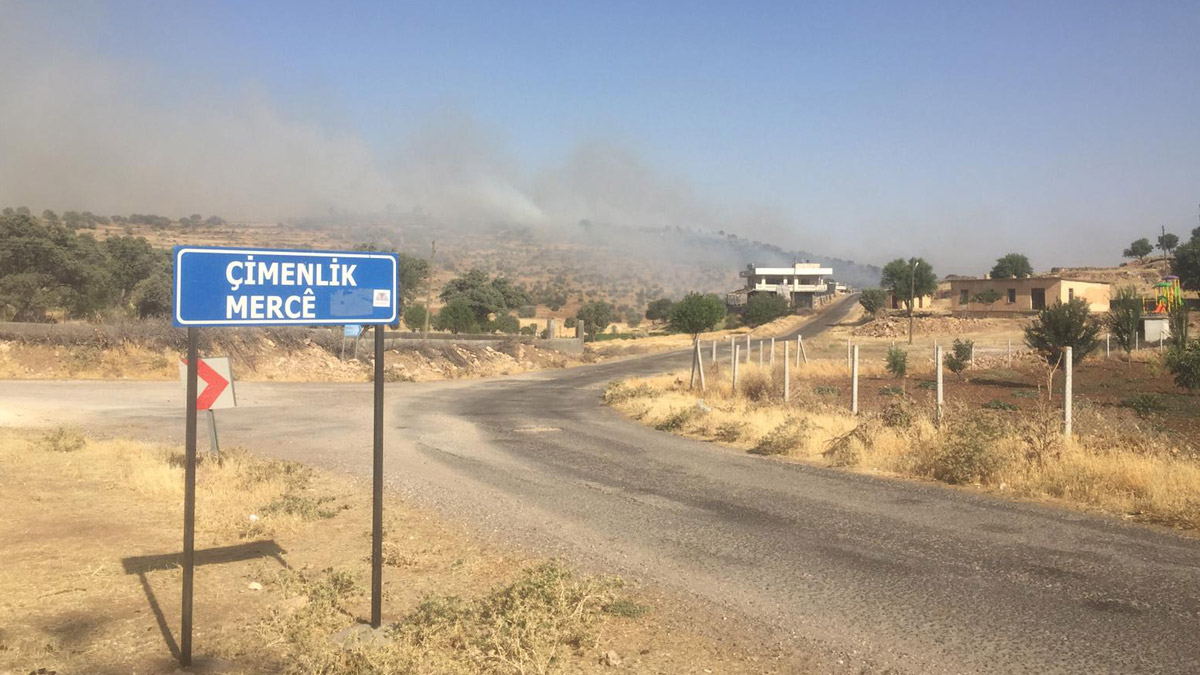 Mardin'de orman yangını