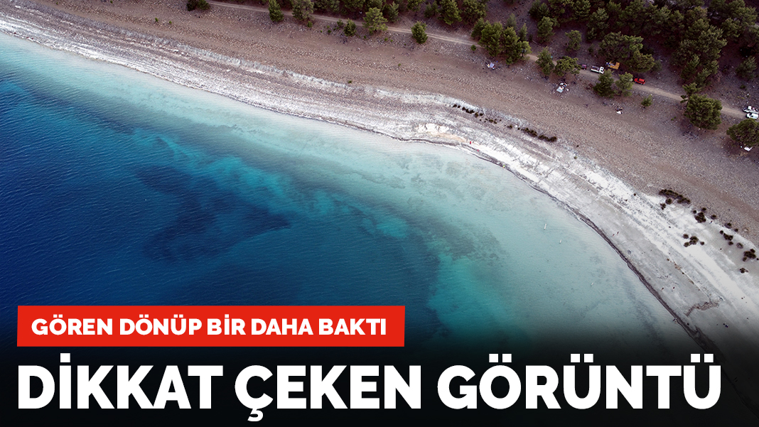 Salda'da dikkat çeken görüntü: Gören dönüp bir daha baktı