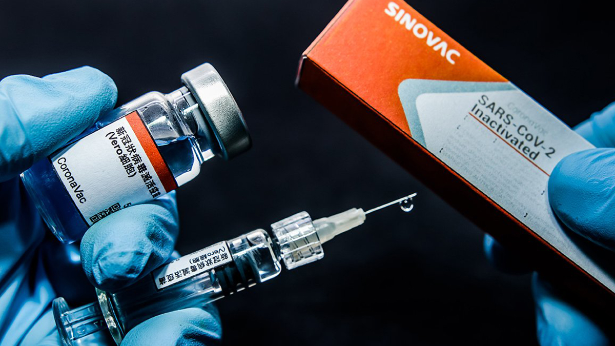 Mısır'da 1 milyon dozluk Coronavac aşısı üretildi