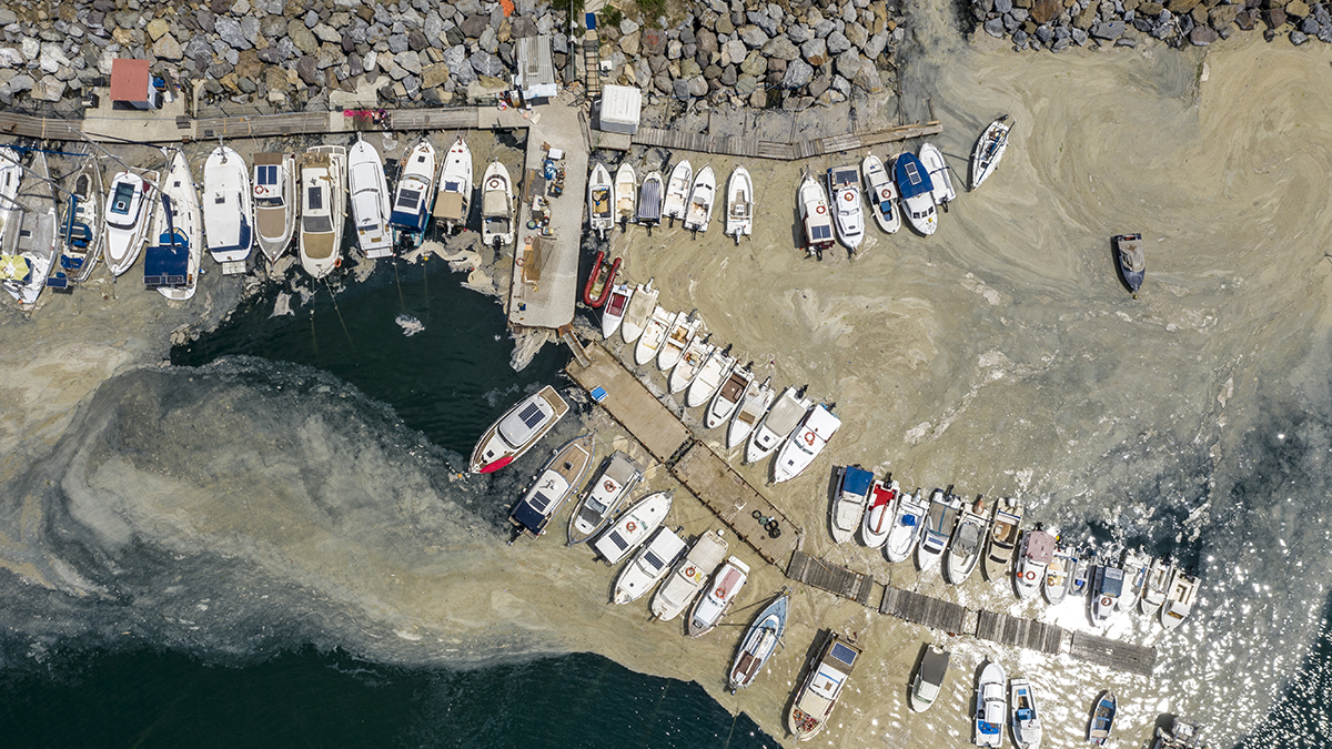 Meclis de müsilaj için harekete geçti: Komisyon üyeleri belli oldu
