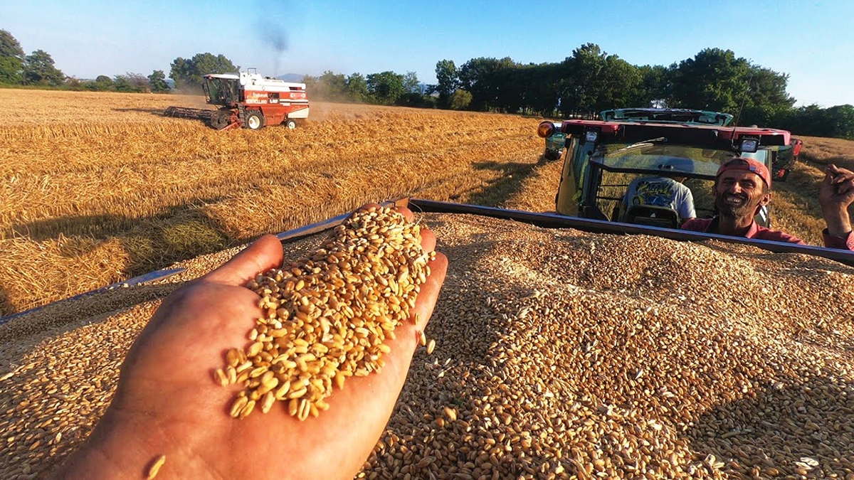 Hububatta zam kapıda