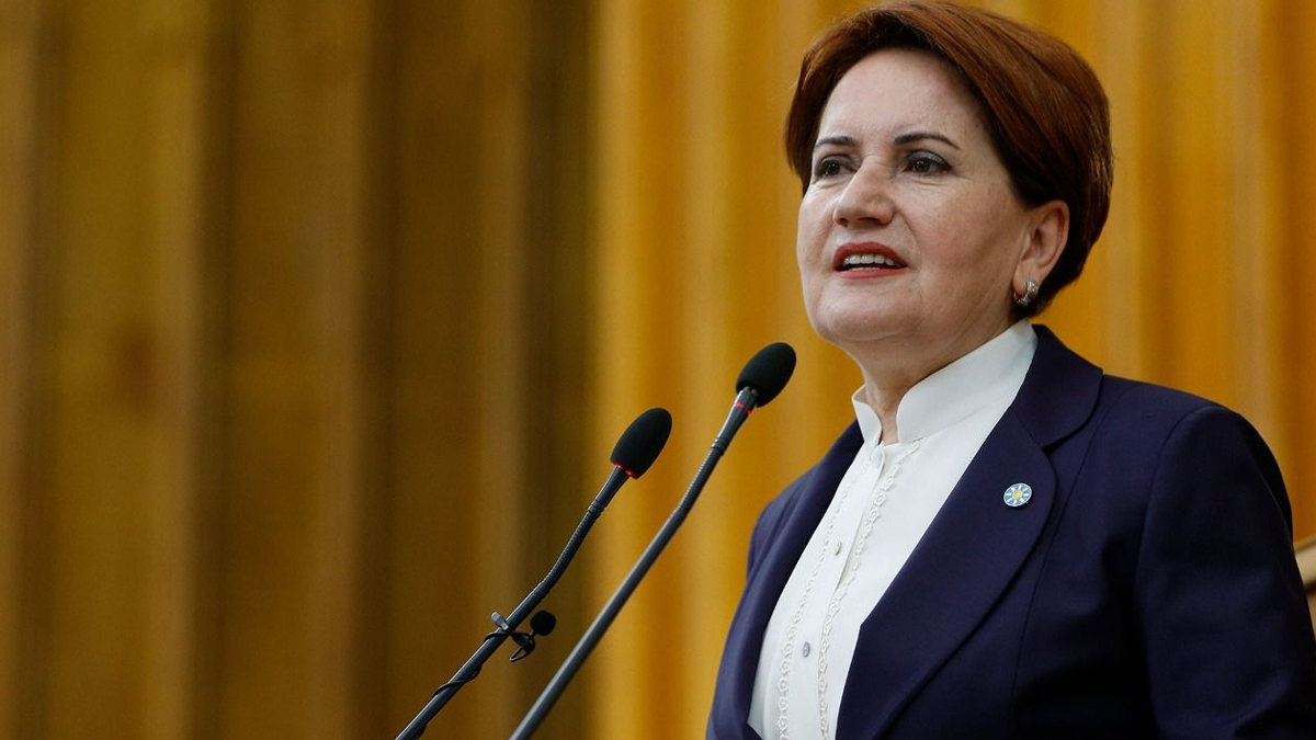 İYİ Parti lideri Akşener yangın bölgesine gidecek