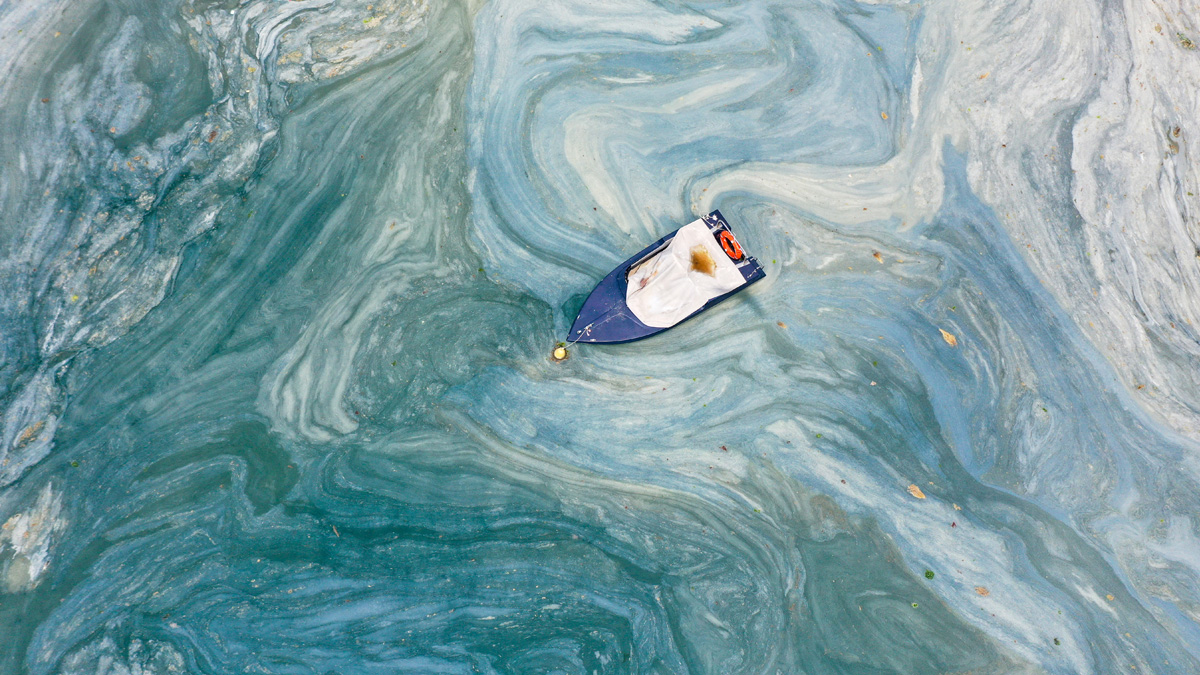 Prof. Dr. Cem Gazioğlu: Müsilaj yüzeyde azaldı