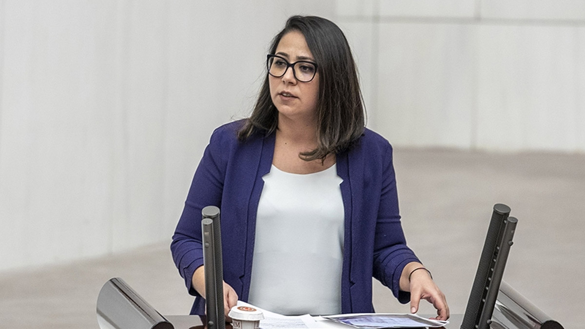 Sera Kadıgil'den, Hayvanları Koruma Kanunu teklifine 'yeterli değil' tepkisi