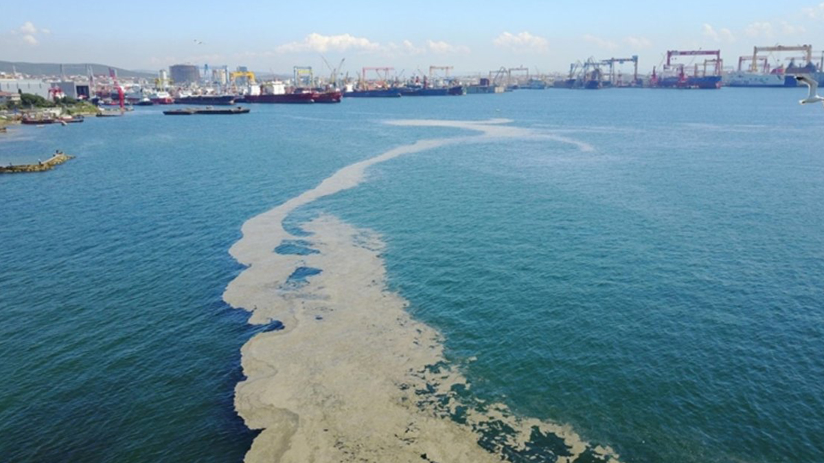 Müsilaj Araştırma Komisyonu'nda görev alacaklar açıklandı