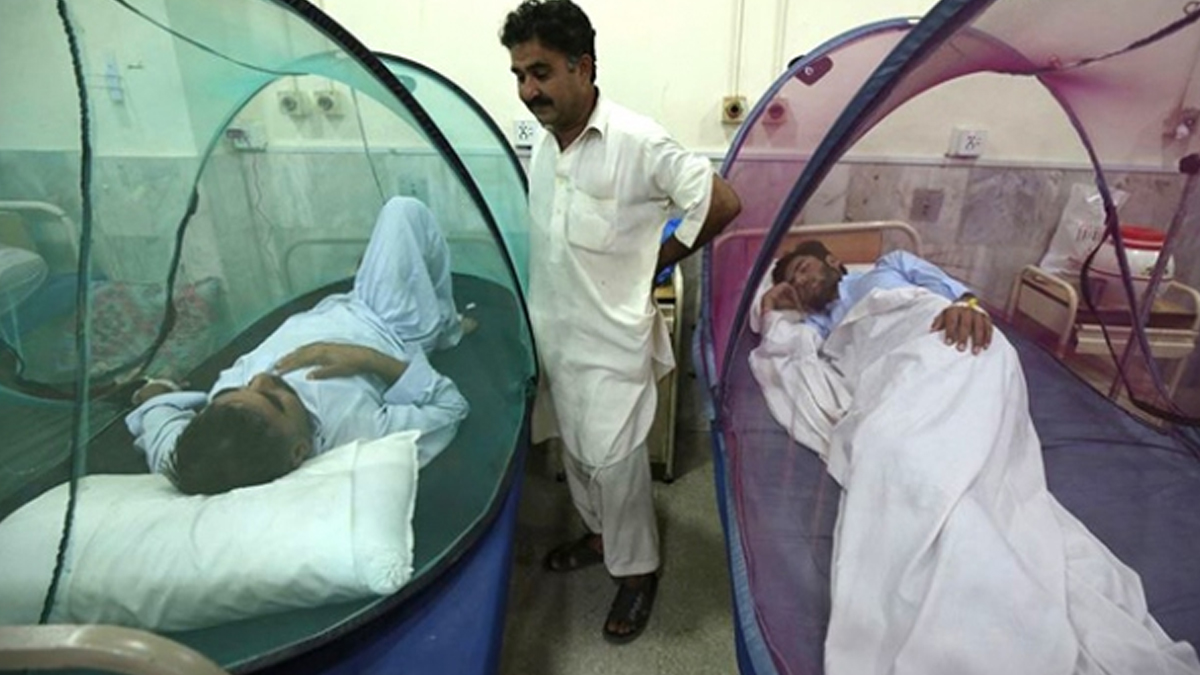 Bangladeş'te Dang humması endişesi: Bir günde 53 vaka