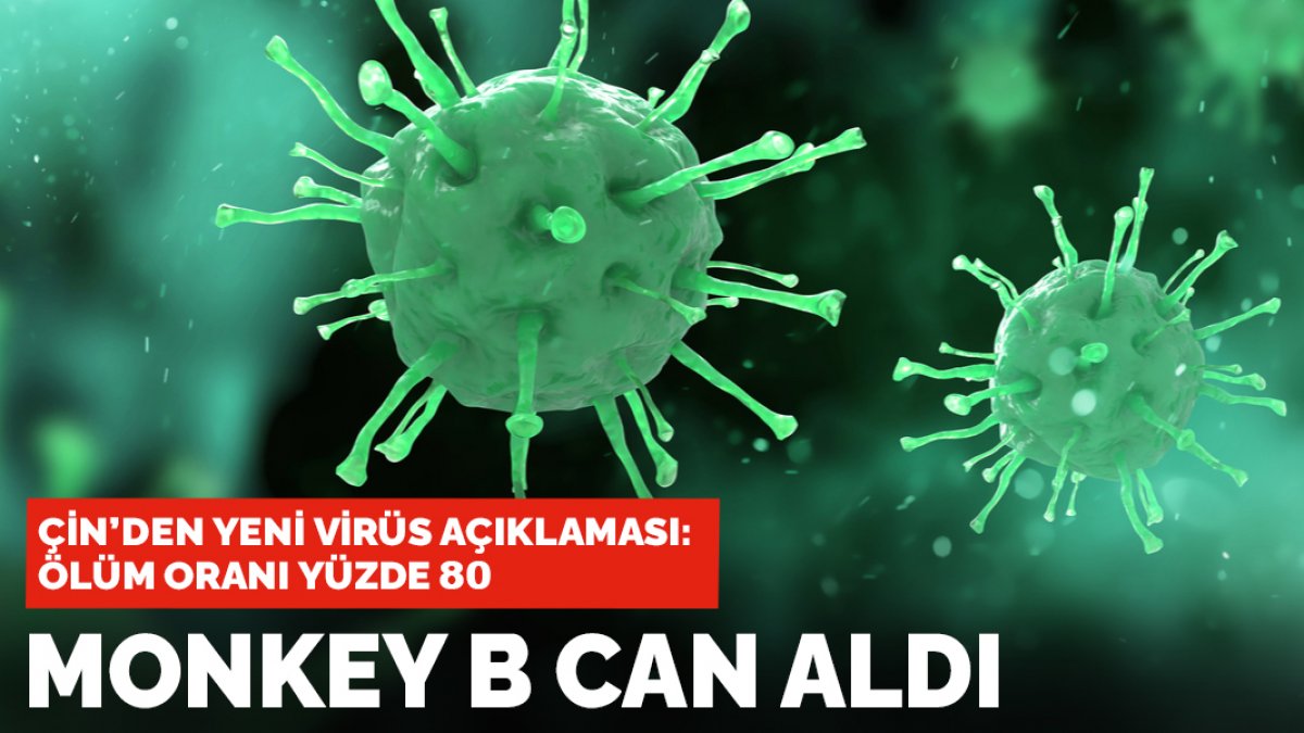 Çin’nden yeni virüs açıklaması: Ölüm oranı yüzde 80 olan ‘Monkey B’ can aldı