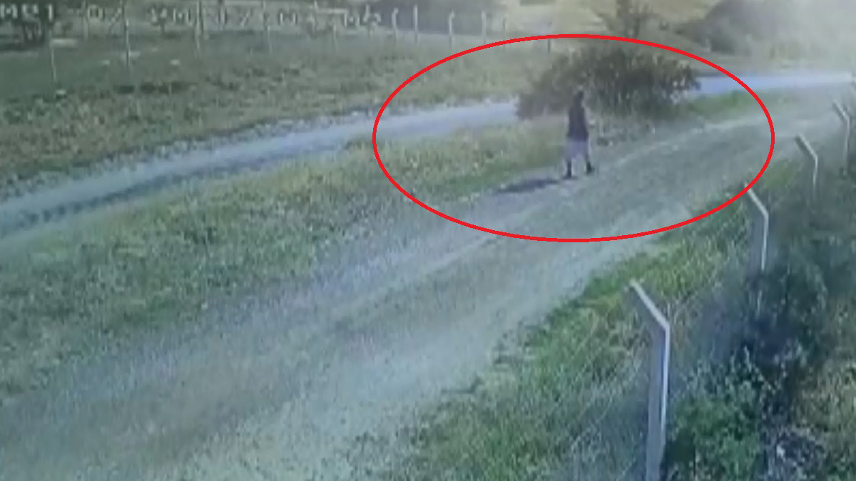 Kaçan kurbanlığın peşinden gidince kayboldu